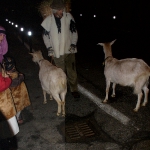 nov-dic 2008 072